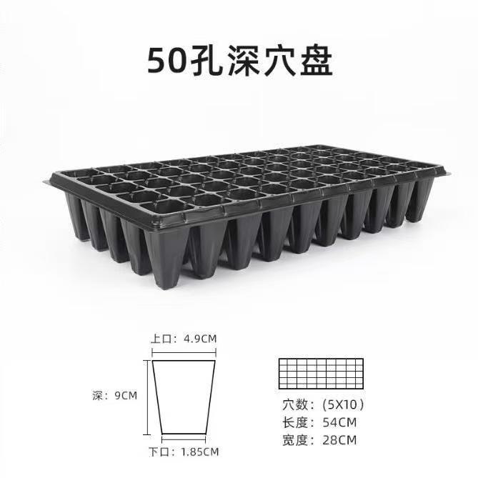 50孔深穴盘